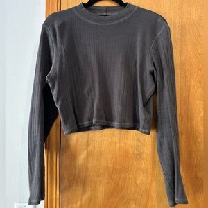 American Eagle Cropped Longsleeve Top